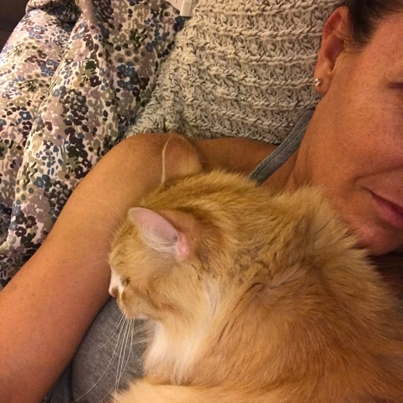 Meet your Posher, Ann - Picture 1 of 1